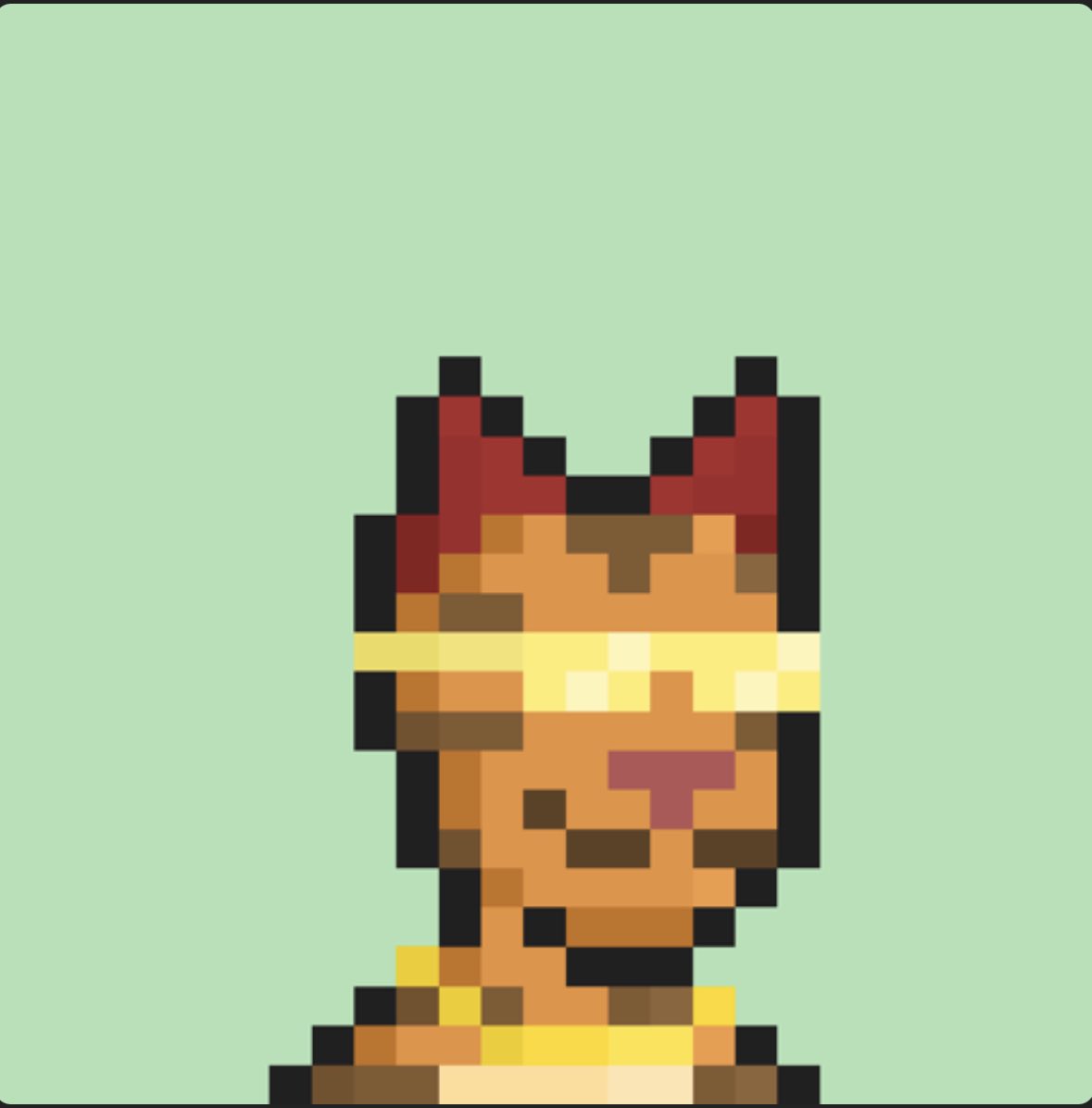 It’s so impressive how much success I’ve seen from current and former @TheLionCatsNFT holders is so underrated. With such a small community, we’ve seen a lot of us go on to do some great things. If I could pick one project or community to do well, it would be the Lion cats. ♥️