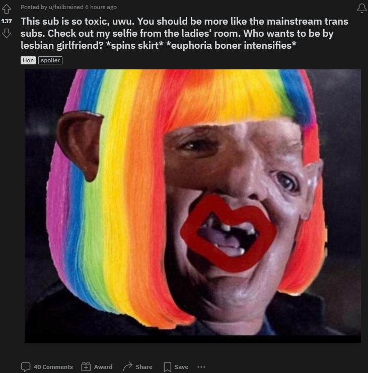 Males Of Reddit tweet media