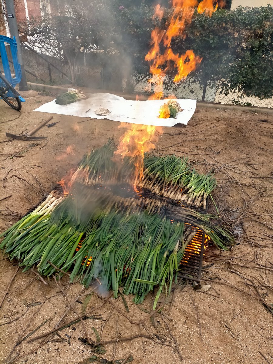 laminademasnou's tweet photo. Sembla que @elmasnou_cat no ens cedeix les graelles de terra, quan en altres ocasions sí ho ha fet.
Denunciem la decisió, totalment arbitrària.
Les explicacions "oficials" només són excuses perquè "extraoficialment" sabem q al cap de brigada no li dona la gana deixar-nos-les 🫤🤷 https://t.co/Kq34cPjn5l