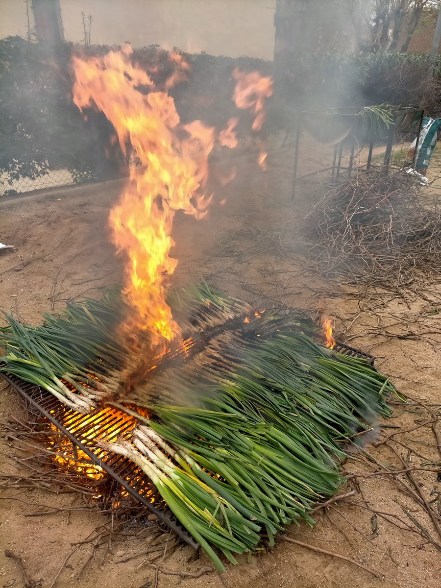 Sembla que <a href="/elmasnou_cat/">Ajuntament del Masnou</a> no ens cedeix les graelles de terra, quan en altres ocasions sí ho ha fet.
Denunciem la decisió, totalment arbitrària.
Les explicacions "oficials" només són excuses perquè "extraoficialment" sabem q al cap de brigada no li dona la gana deixar-nos-les 🫤🤷