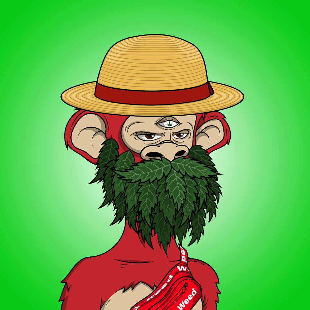 BlitzBeenUp's tweet photo. Just won an ape from @StonedApesNFT last night in poker. .01 to play, a great way to get into the big @TheTokenSociety poker tournament this Sunday 👀👀 #ToNYC #STAC 🧹🧹🧹 https://t.co/gyGhGWvozM