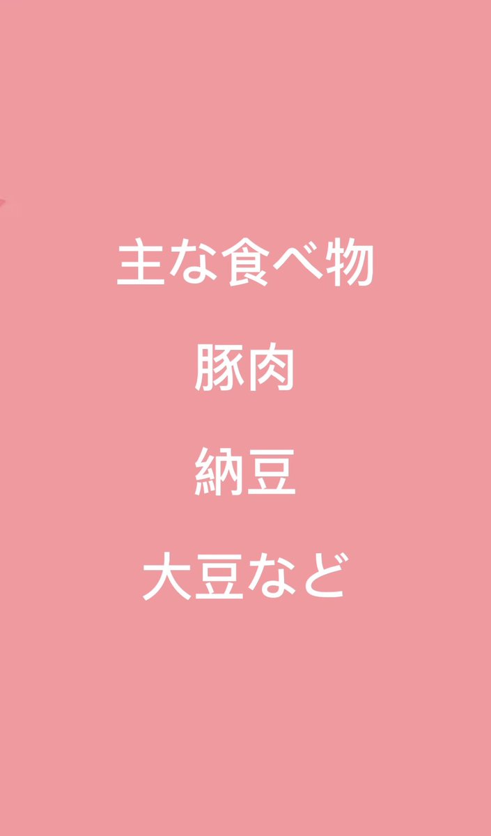 FREYJA_diet's tweet photo. ビタミンBについて！
ビタミンBはダイエットをするにあたってとても重要な栄養素です。
#FREYJA
#パーソナル
#ダイエット
#ビタミンB https://t.co/23XgfujgwS