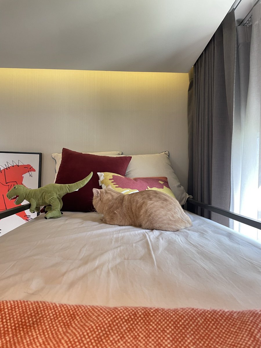 ป้องชอบเตียงสองชั้นมากๆ เหมือนเป็นเตียงของตัวเอง