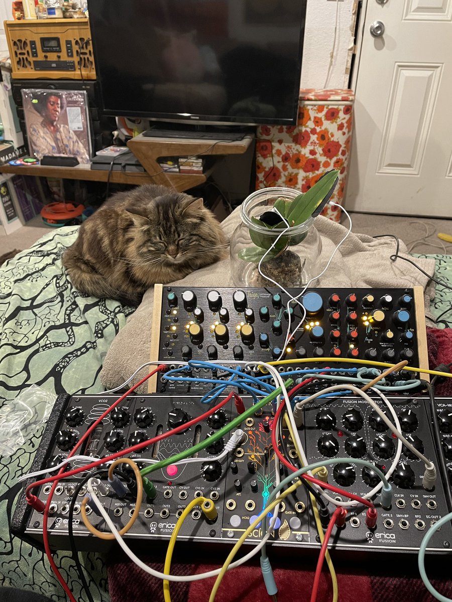Figuring out a mobile rig 

#spacerock #synthrock #utahartist
 #orchid #synths #eurorack #modularsynth
#synthrig #synthwave #plantmusic #mycology #noisemusic #synth #spaceseer #taiga #pittsburghmodular #doomsynth #synthdoom #alicecoltrane #catsandsynths