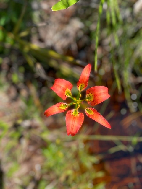 GreenSource EP, Inc. tweet media