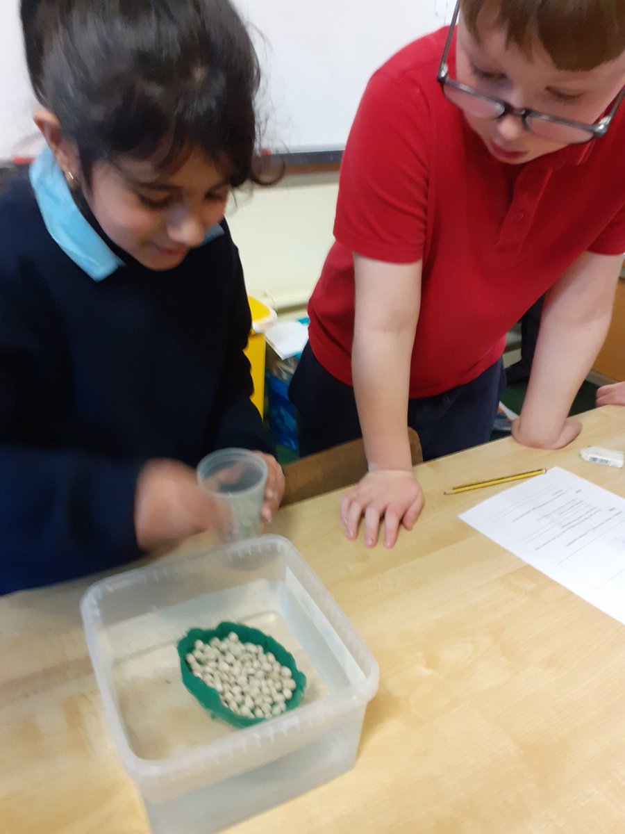 3rd Class St. Attracta's N.S tweet media