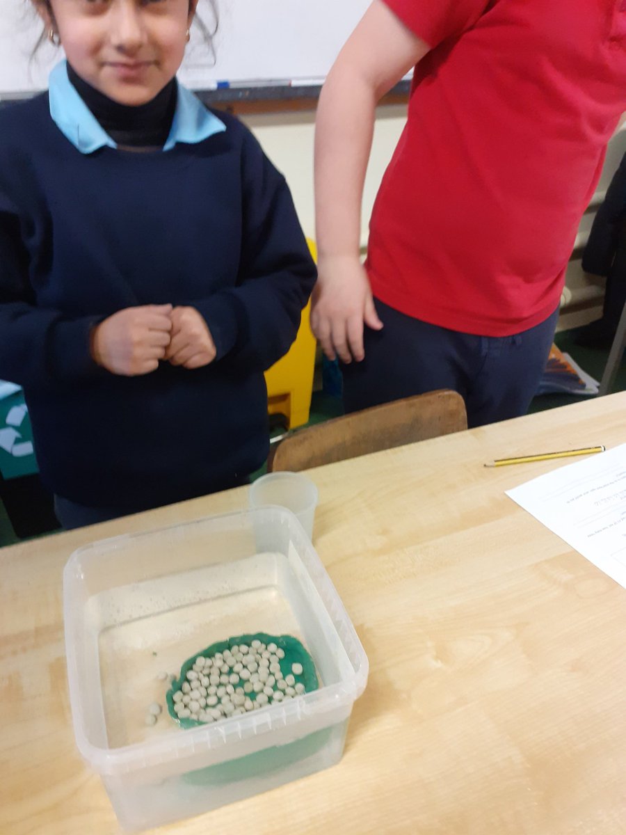 3rd Class St. Attracta's N.S tweet media