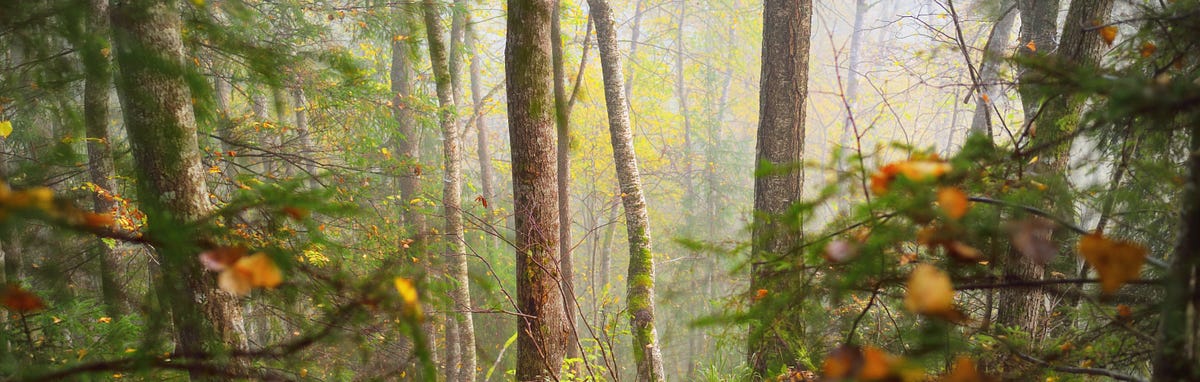 mszerencsy's tweet image. An Organic Multi-Product Ecosystem Leaves a One-Product Offering in the Dust dlvr.it/SkzyyB #startup #ecosystem #multiproduct