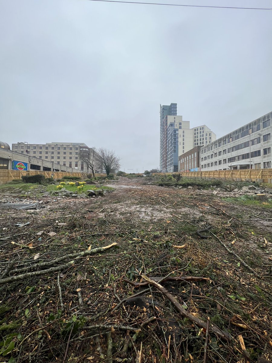 Luke Pollard MP tweet media