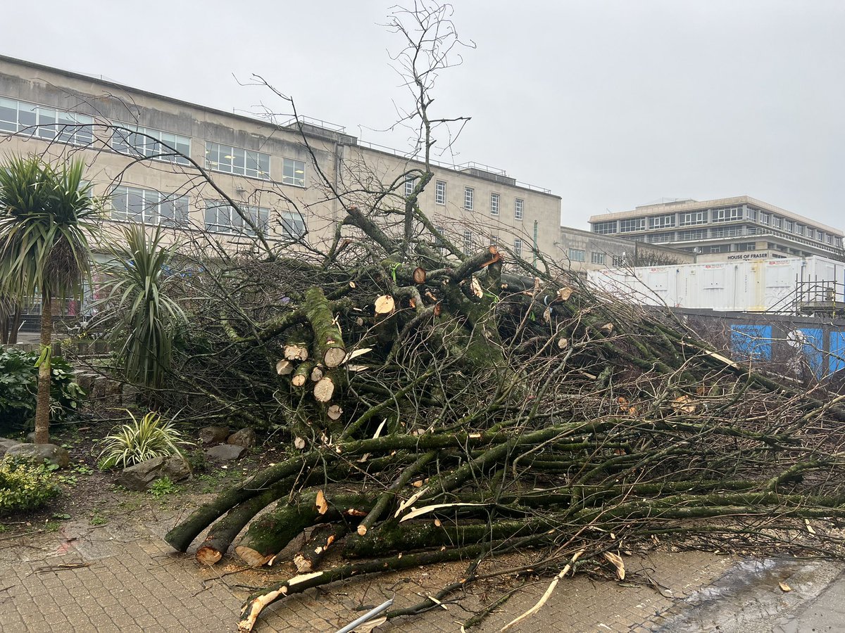 Luke Pollard MP tweet media