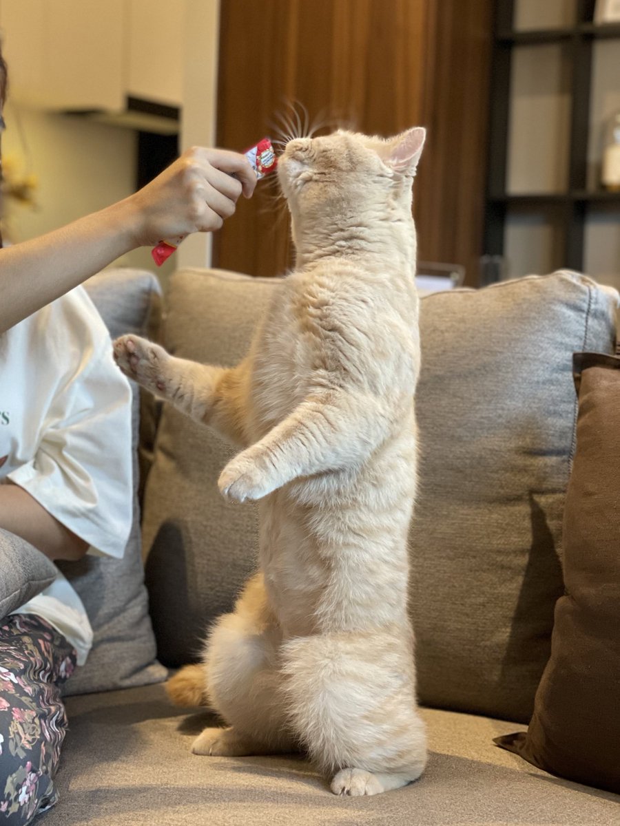 บีมกับน้องๆ tweet media