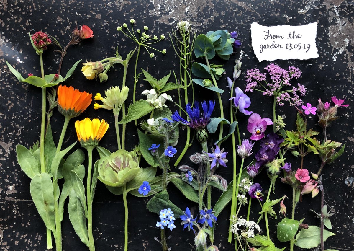 Emma Mitchell 💙 tweet media