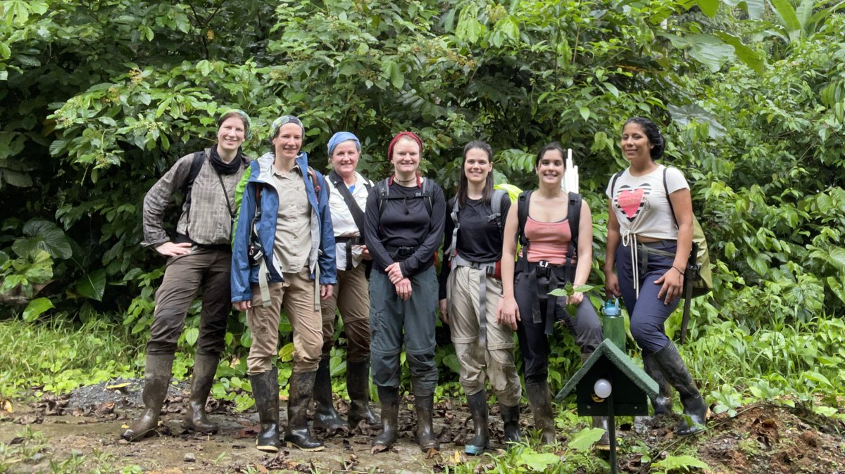 First time that all members of our @ReassemblyNet subproject are together in the field @jocotoco_org Canande station. @SybilleUnsicker @EvaTamal @KatrinHeer @ConsEcol