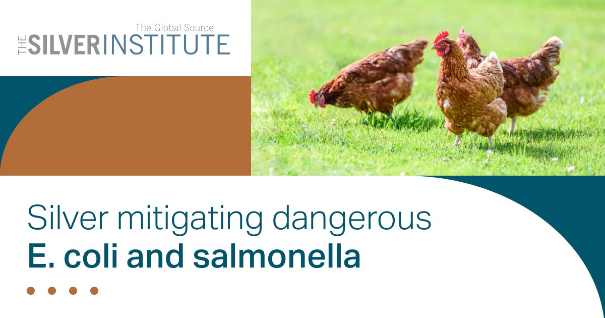 The Silver Institute on Twitter "Poultry farming is a fastgrowing agribusiness. Unfortunately