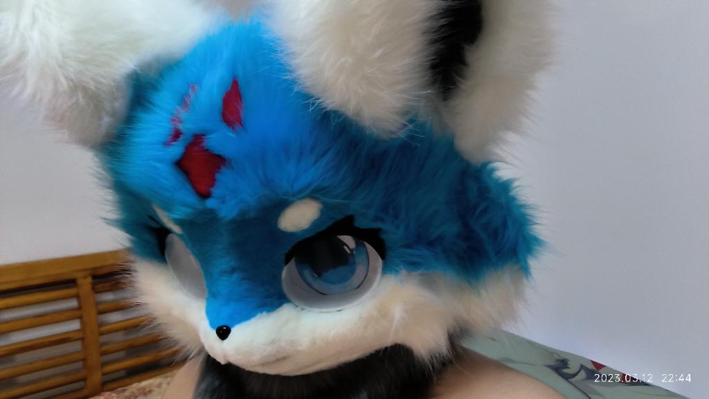 Diamondwolf2020's tweet photo. 是戴蒙的兽装耶！！ https://t.co/8Y0OKXf8vS
