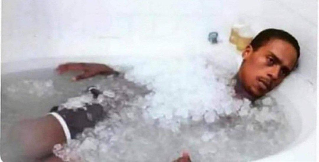 No one:

Fish in grocery stores: