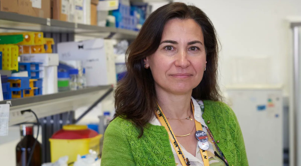 90 Segundos de Ciência tweet media