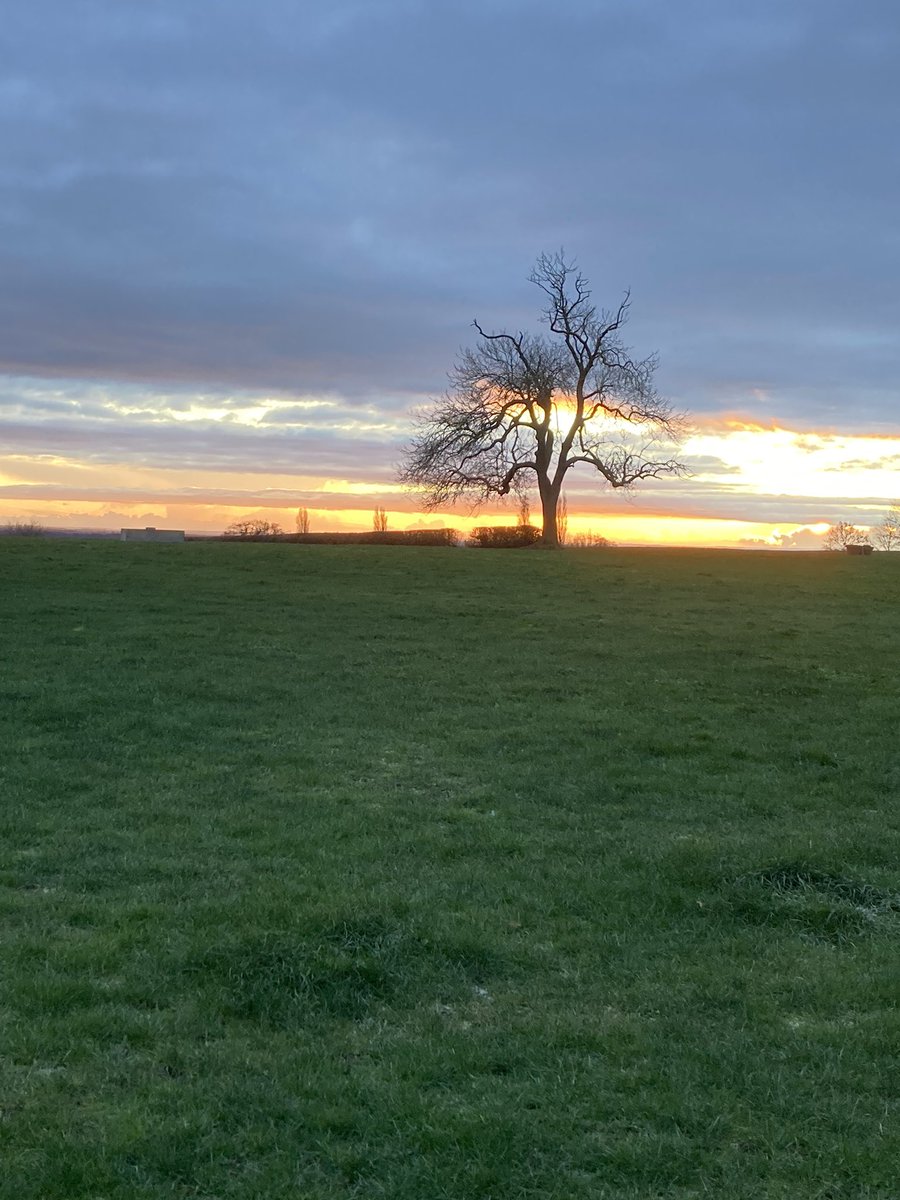 HazelwoodFarm's tweet image. **SPECIAL OFFER**
Due to a last minute cancellation The Mosswood Room is now available this weekend at the bargain rate of £60 per night (Friday and Saturday) with a fabulous breakfast included. Please call Nettie on 01347 824654. 
Grateful for any retweets 🙏🏽