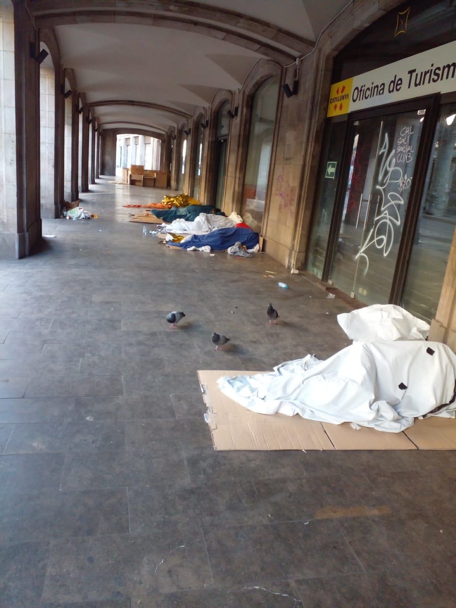 Marta Requena tweet media