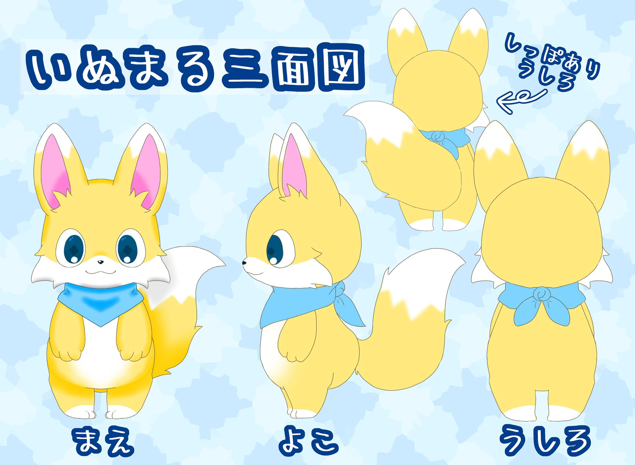 MikoMiko♡さん　成犬 2024年9月！ いよいよ成犬サイズになってきたのりちゃん
