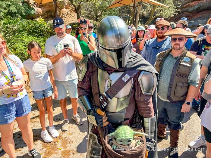 DisneyFoodBlog's tweet photo. Two of Disney World’s newest characters to meet are a BIG deal — it’s #Mando and Grogu! 💫

#ICYMI: The Mandalorian and Grogu Are In Disney World! https://t.co/Y4DptSFokp https://t.co/pu57bU9SGO