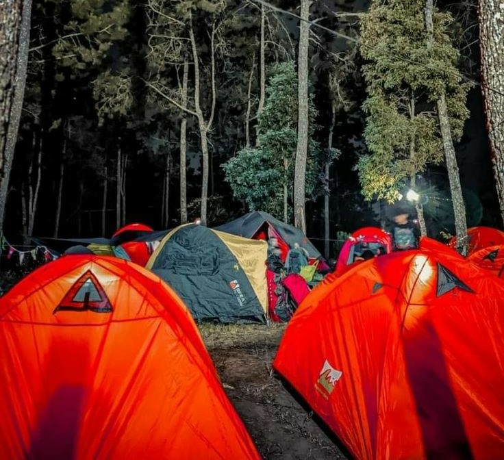 hooligan tweet media