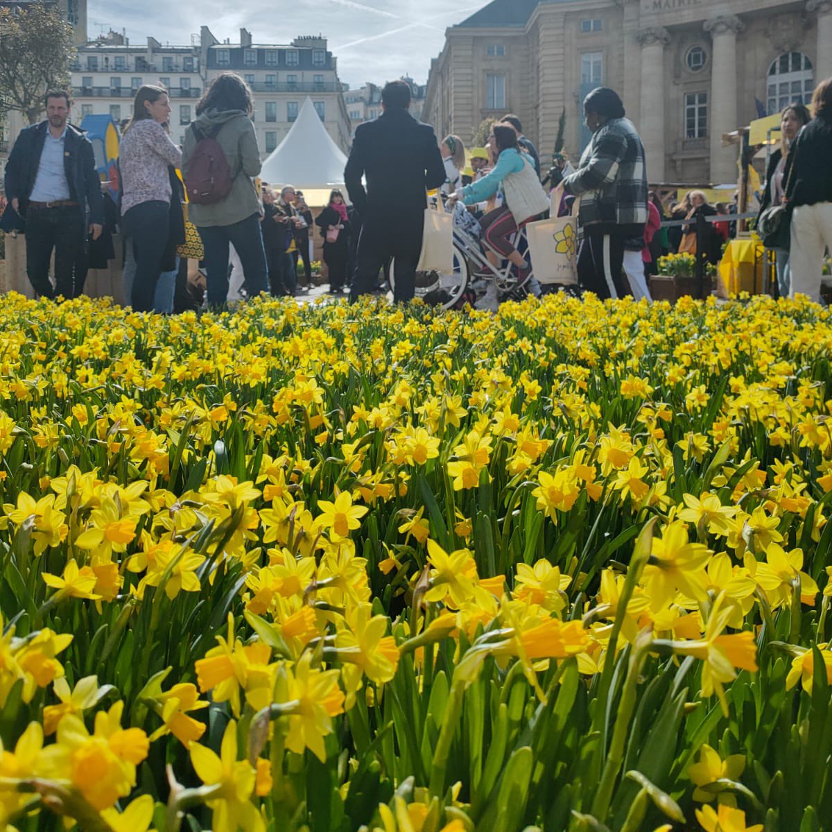 Pour l'occasion, nous sommes au Village Jonquille à Paris pour découvrir :
➡ une vente solidaire de jonquilles et de produits dérivés
➡ une jonquille lumineuse géante, à faire briller grâce aux 6 vélos connectés
RDV place du Panthéon pour soutenir #UneJonquilleContreLeCancer ✊🏼