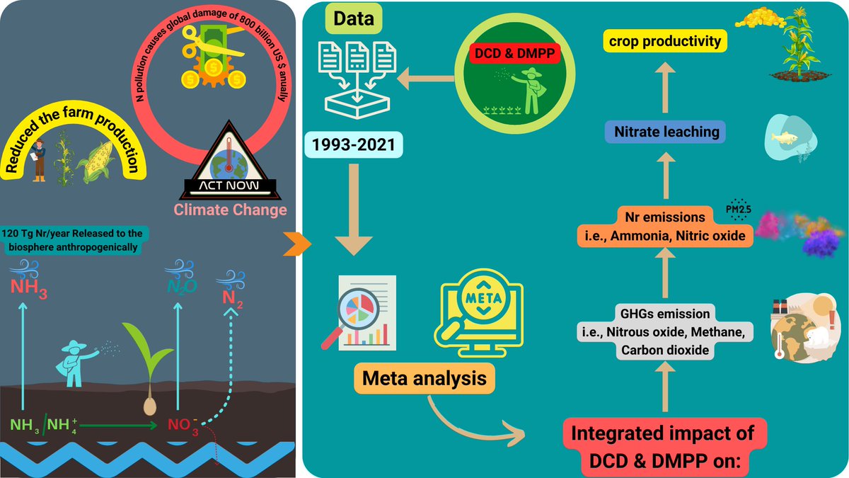 Dr. Aammar Tufail tweet media