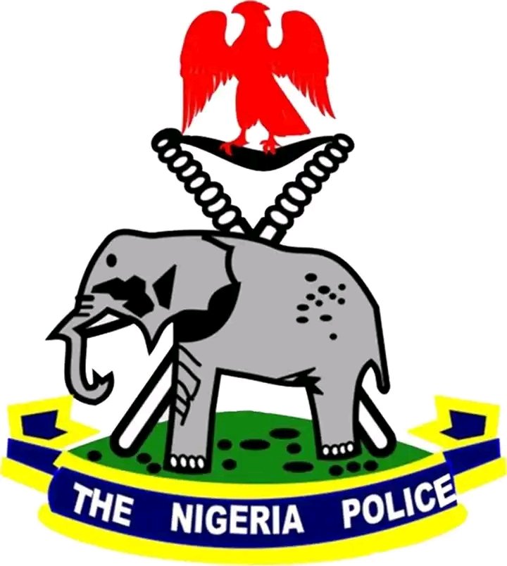Nna_Paschal's tweet photo. ๐ฅ๐ฅ๐ #TNDN
2023 GUBERNATORIAL/STATE ASSEMBLY ELECTIONS: IGP ORDERS RESTRICTION OF MOVEMENT ON ELECTION DAY, REITERATES BAN ON VIP AIDES, ESCORTS, STATE SECURITY OUTFITS.
#TheDawnNewspaper https://t.co/VTmGl116Wr
