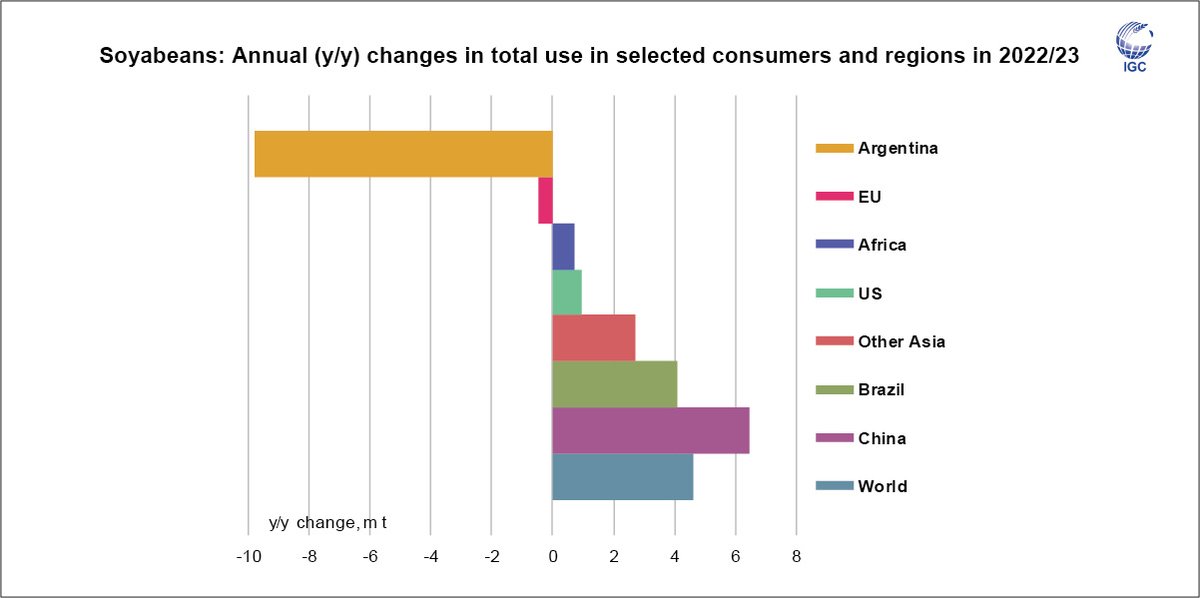 IGCgrains's tweet photo. World #soybean use is projected to expand in 2022/23, incl. record uptake in the US &amp; Brazil. However, Argentina’s smaller crop will have big implications for processing, especially since it is the world’s largest exporter of #soyoil &amp; #soymeal. See also Market Focus on #soymeal. https://t.co/304QFWvjPk