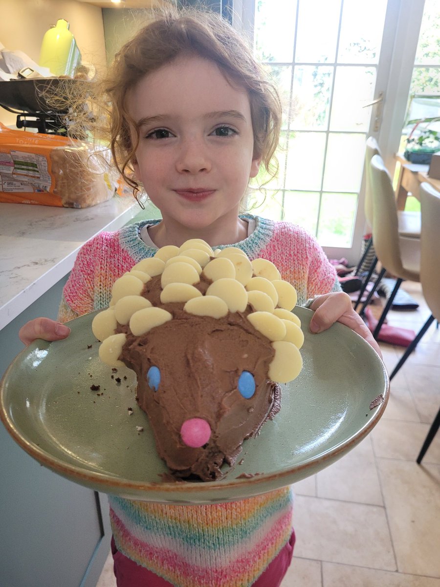 Inspired by Mrs Halls cake, Lucy decided to make her own🙂 @ShalfordInfants