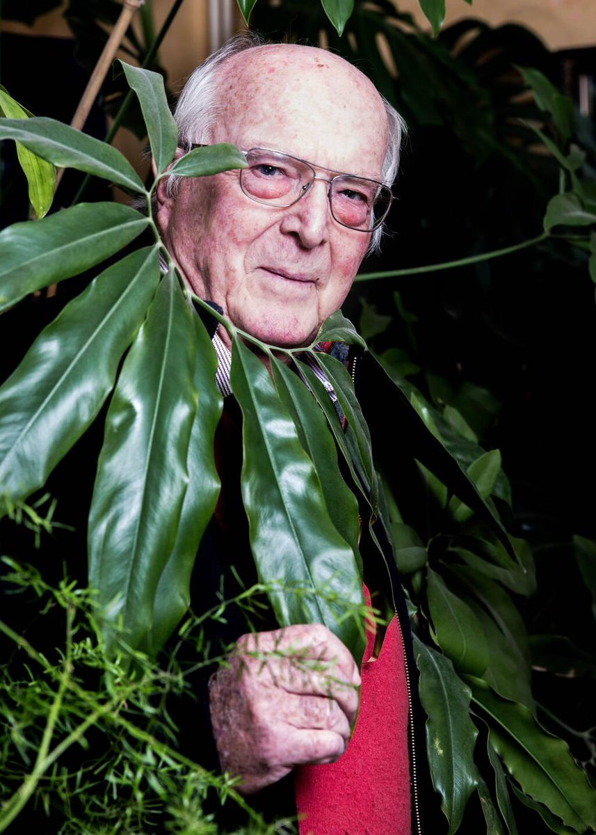 ✍️ TRIBUNE. Une forêt primaire en Europe de l’Ouest ? Tout sauf une utopie. Par Daniel Béhar

➡️ bit.ly/3TkjDDa