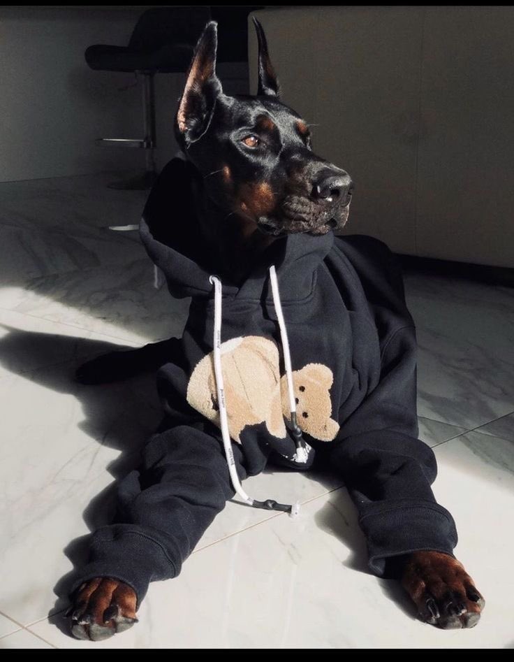 Blest ♰ Boys (@blestboys) on Twitter photo 