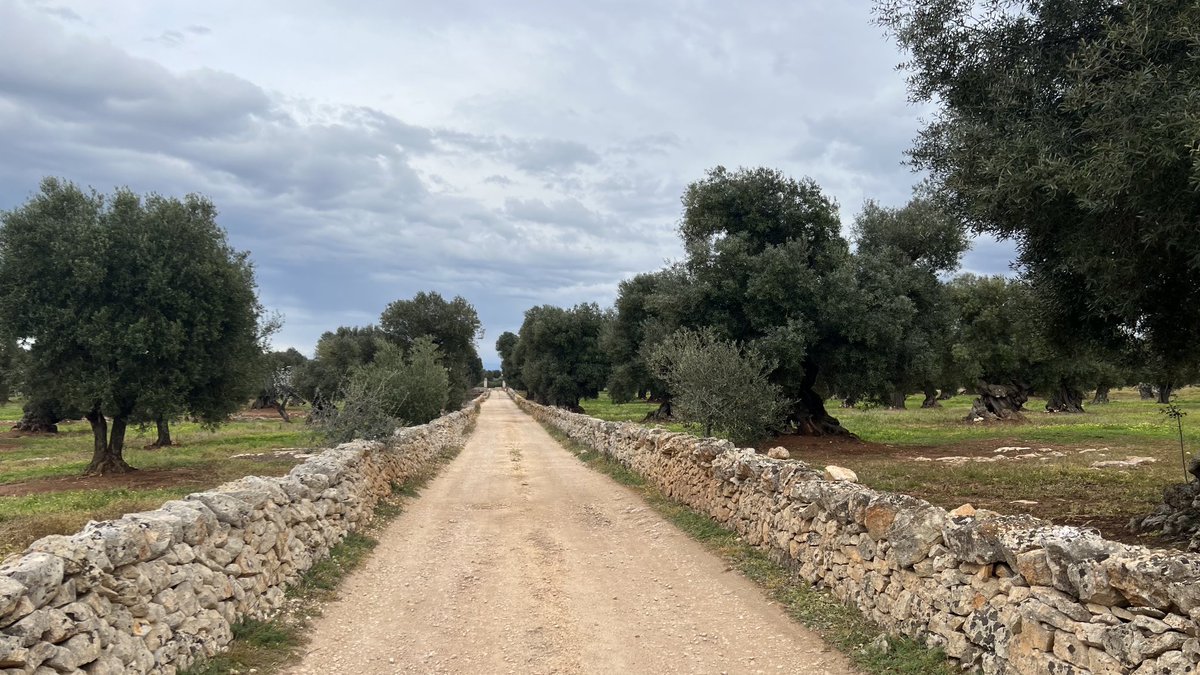 marinifab's tweet photo. Sopralluogando
#weareinpuglia #puglia
#production #productionservice #locationmanagement #cinemaindustry https://t.co/sSChL430SA