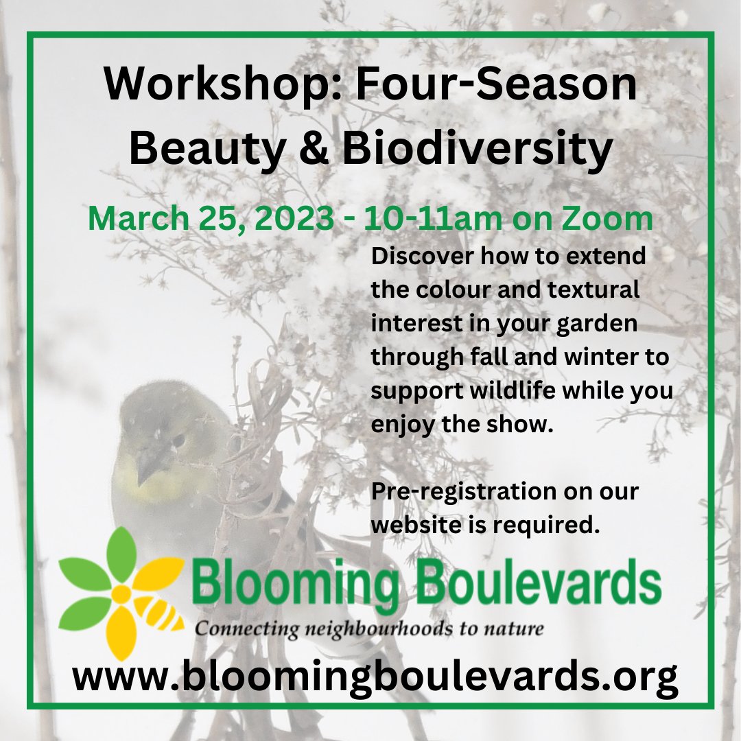 Our next free workshop will give you tips on how your garden can support local wildlife all year long! Mark your calendar for March 25 at 10am on Zoom.

Pre-registration is required - bloomingboulevards.org/book-online

#pollinatorgarden #habitatgarden #ecogarden #gardenwebinar