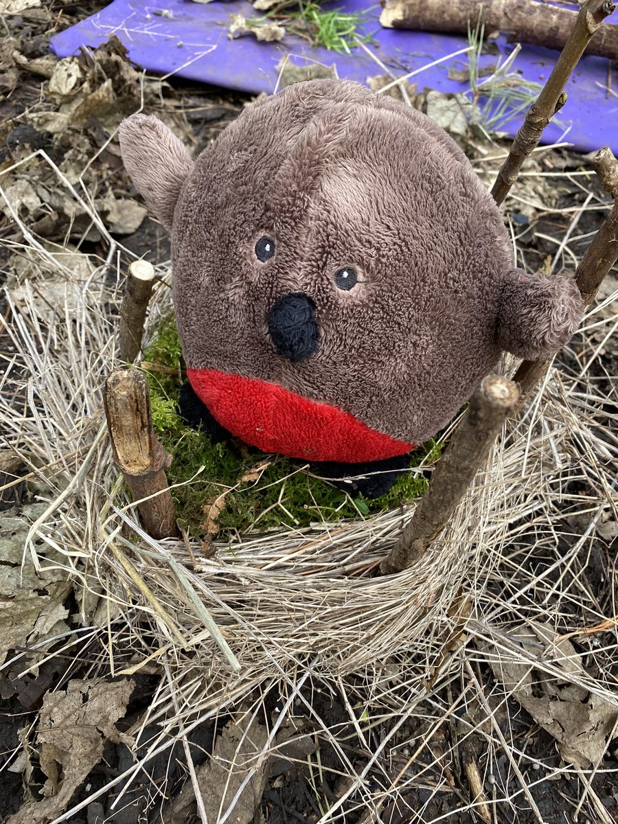 dpsforestschool tweet media