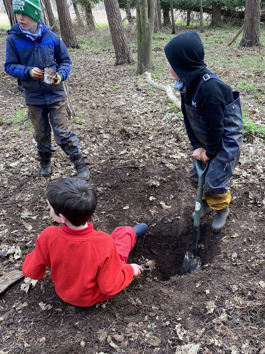 dpsforestschool tweet media