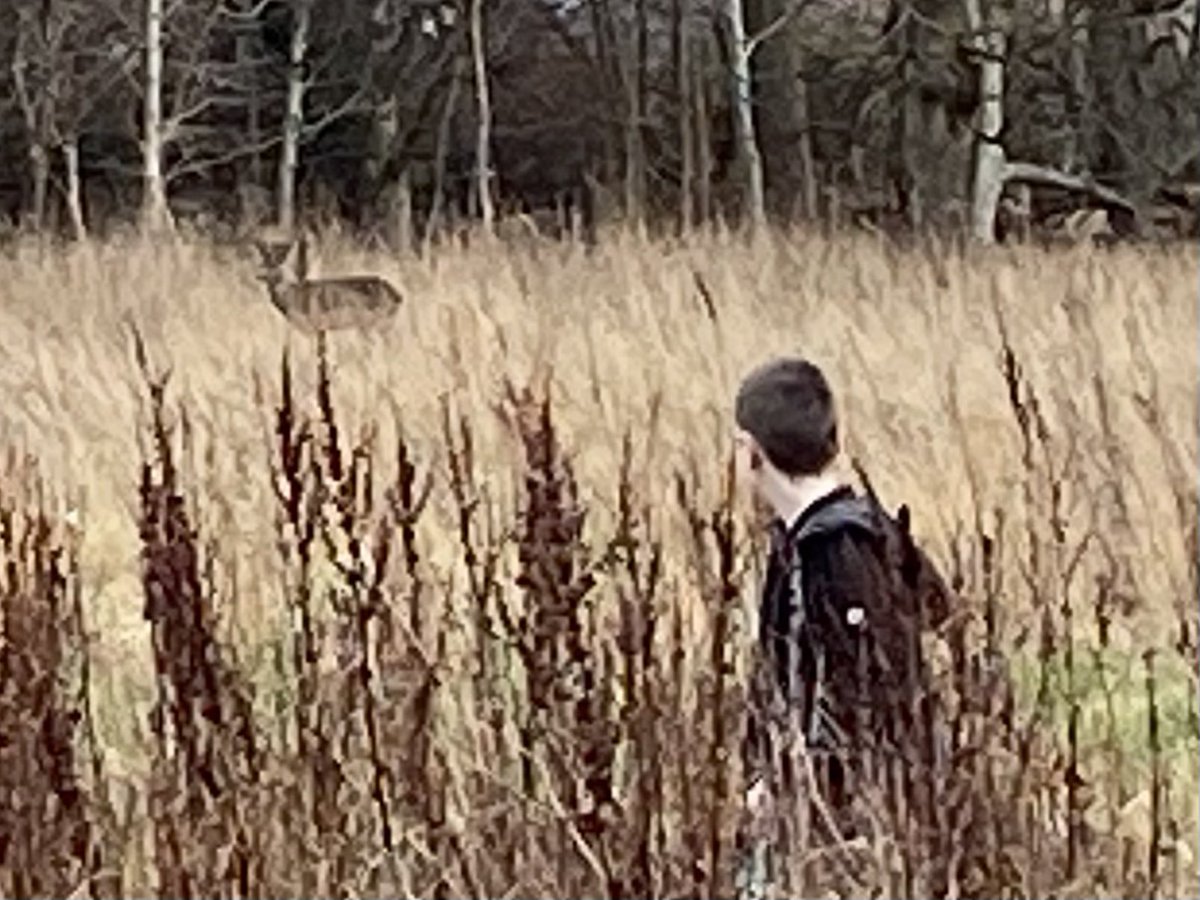 dpsforestschool tweet media