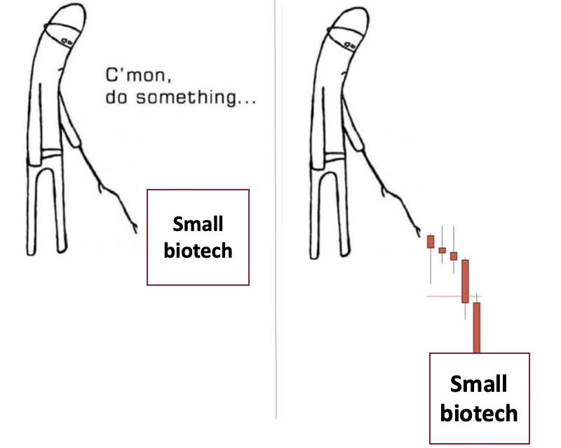 SirtSix's tweet photo. A tale as old as time... stock is trading cheap, science looks interesting, reasonable catalysts in the next 12 months. https://t.co/kMKntKRSVP