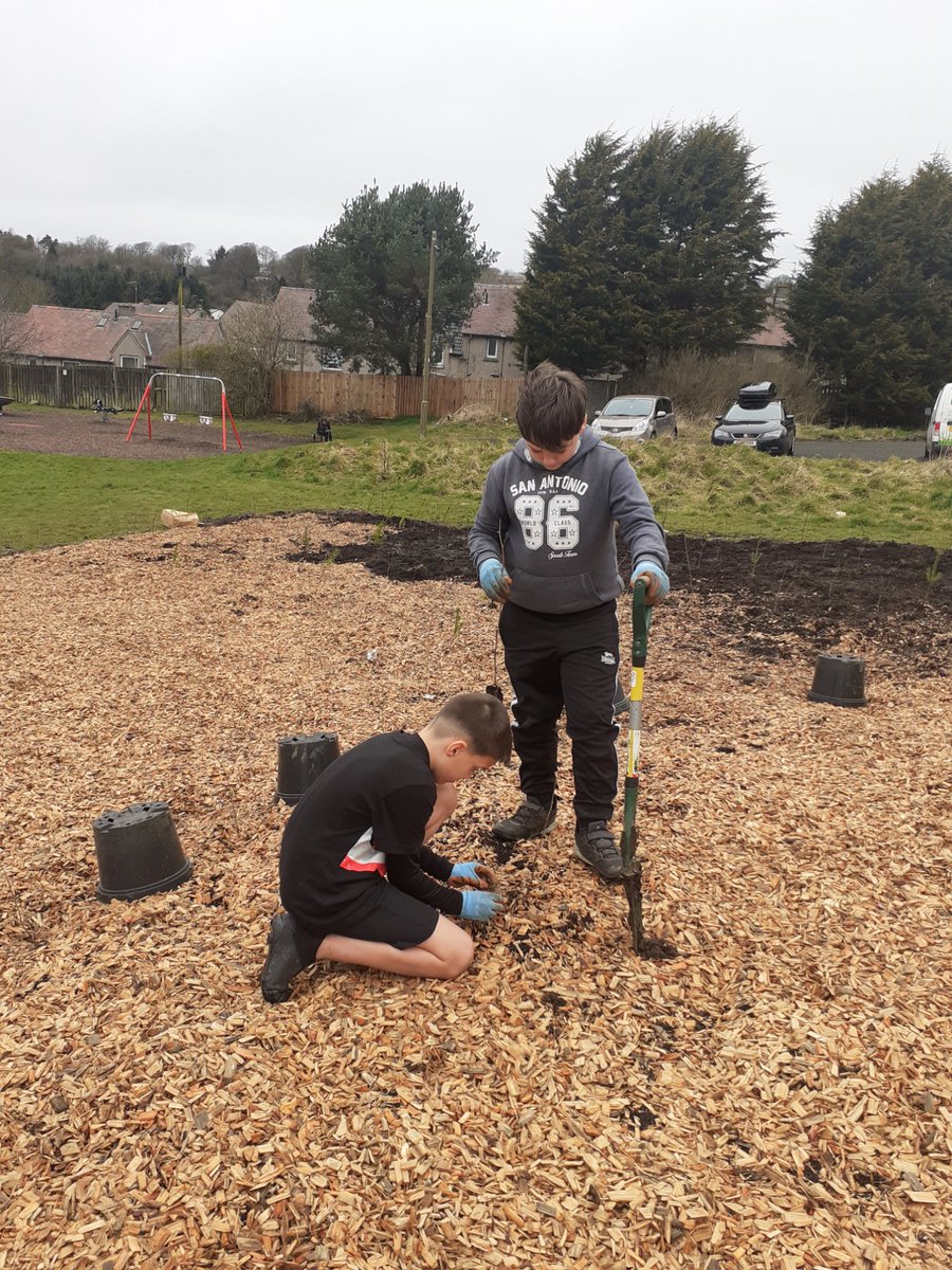 greenspacetrust's tweet photo. Primary 7 pupils @StColumbas2016 planting the New Boghall Wee Forest
#weeforest
@nature_scot
@LoveWestLothian
@Earthwatch_Eur https://t.co/14FjVhJVno