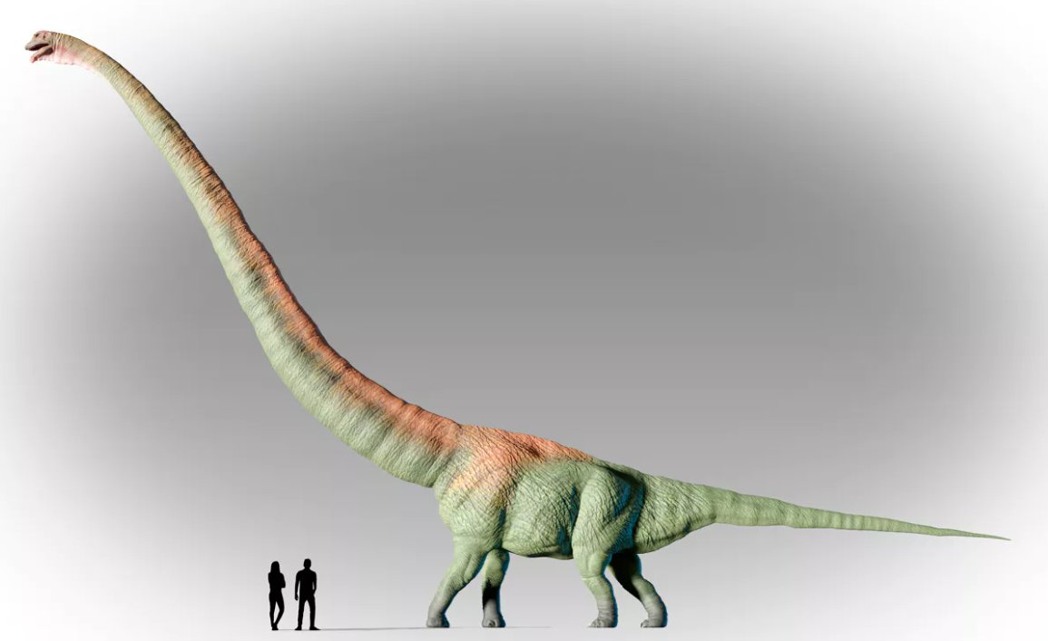 Ferdinand Meeus tweet media