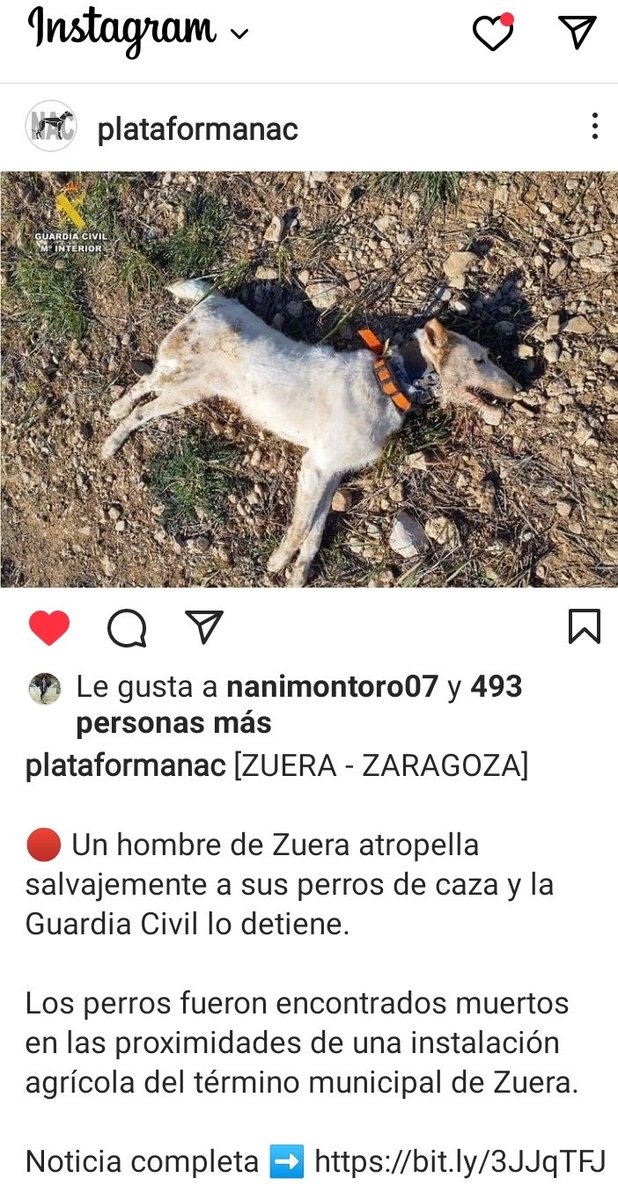 EcoloxistasSaMo's tweet photo. @sanchezcastejon @antoniocostapm #DefiendeLoQuePiensas 
#LaCazaEsViolencia
#MismosPerrosMismaLey https://t.co/AM4hmPLAUr
