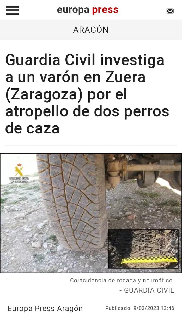 EcoloxistasSaMo's tweet photo. @sanchezcastejon @antoniocostapm #DefiendeLoQuePiensas 
#LaCazaEsViolencia
#MismosPerrosMismaLey https://t.co/AM4hmPLAUr