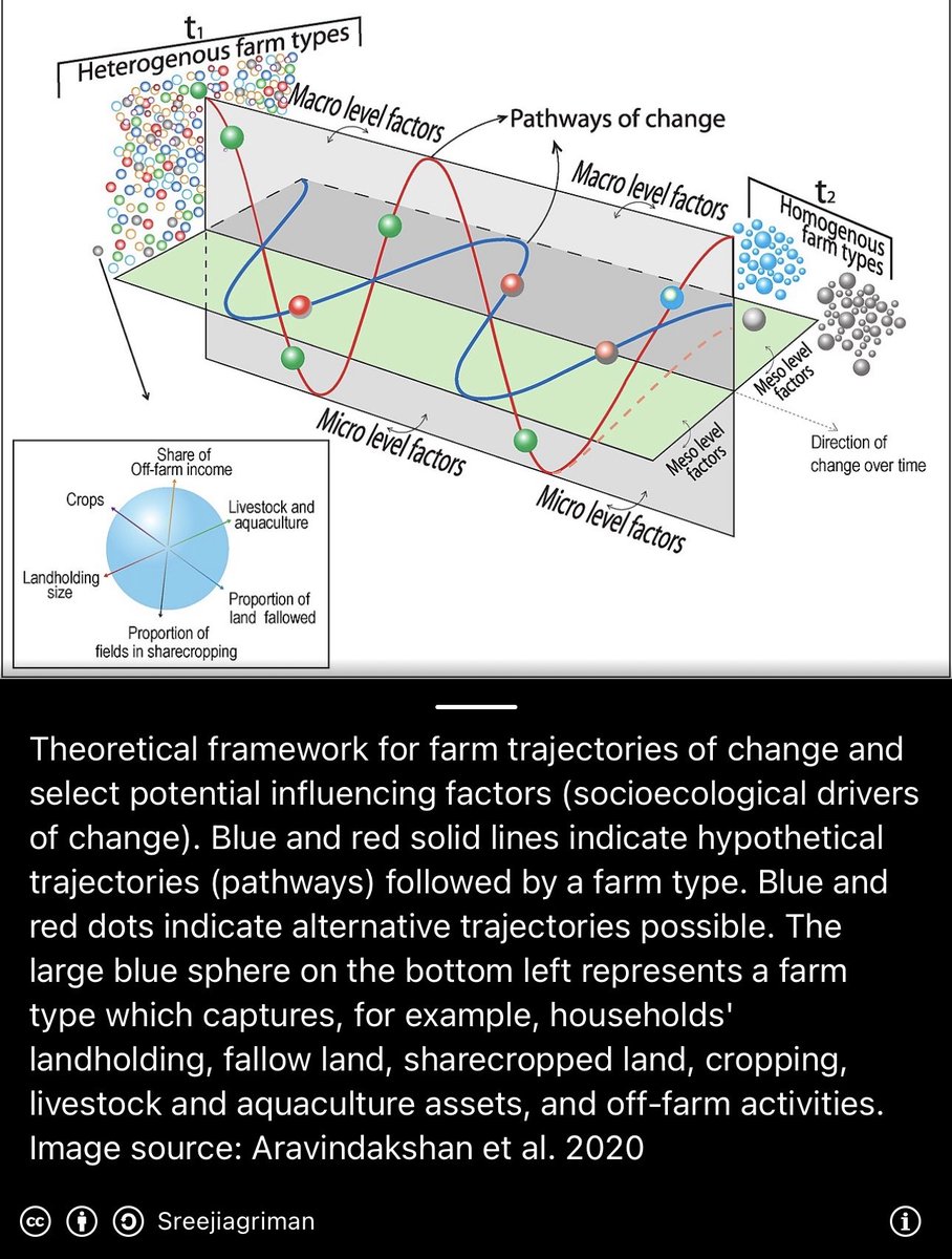 travis_nam's tweet photo. Socio-ecological system

Panarchy x Holarchy

Abstracting and synthesizing with Fourier Transform to elicit understanding.

https://t.co/fbnnwYXAUg https://t.co/4WaaWMSirR