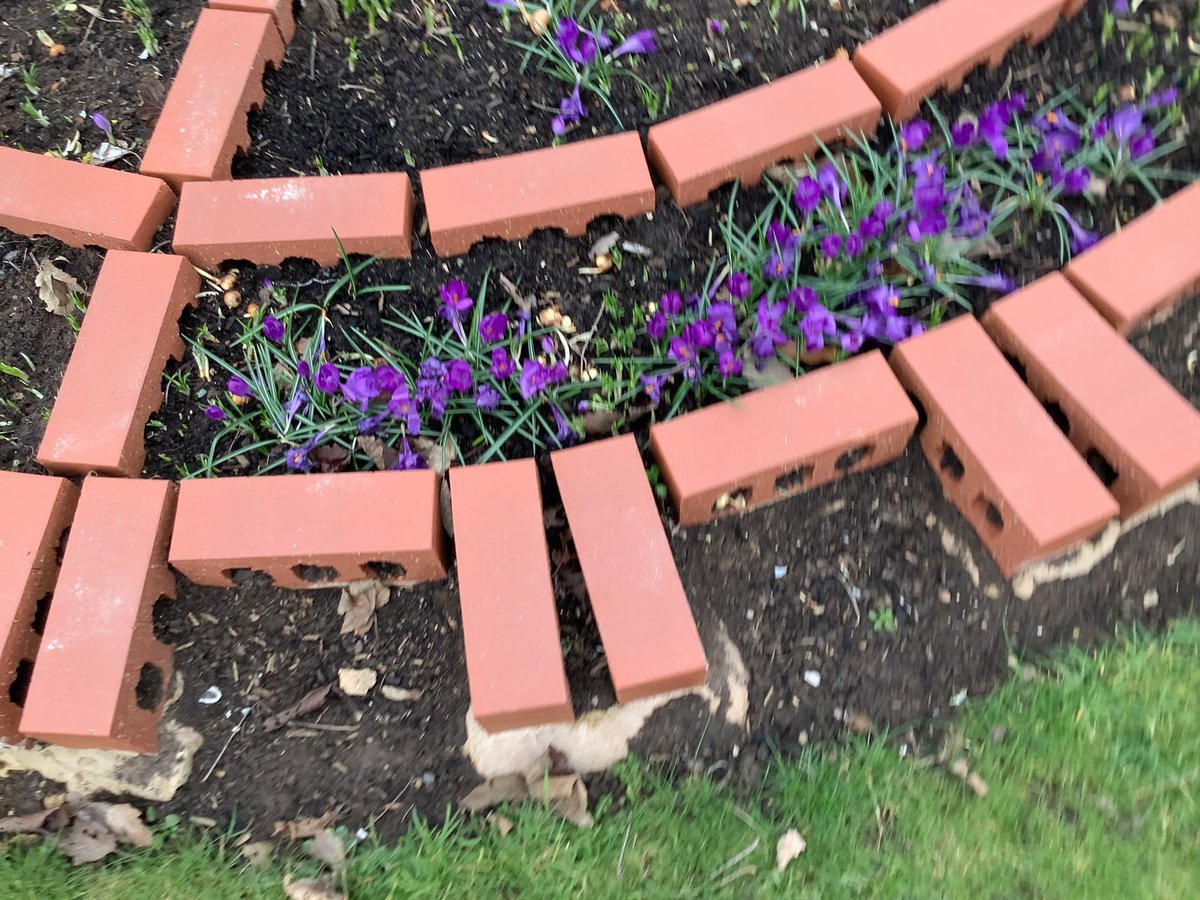 TheRichmondPri's tweet photo. #Spring #SpringFlowers #Rotary #RotaryWheel #TheRichmondFamily https://t.co/5WPP6vsVKO