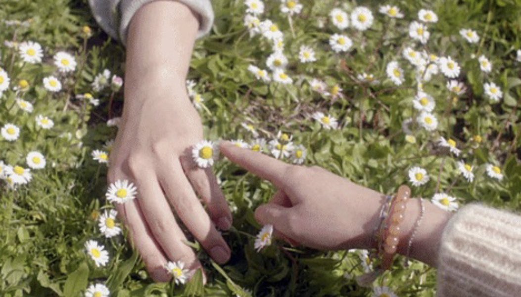 คาโมมายล์ถึงเขา (น.)
หมายถึง เหนื่อยมากเลยใช่มั้ย ไม่เป็นไรนะเธอเก่งมากแล้ว และเราก็เชื่อว่าเธอจะเข้มแข็งและผ่านมันไปได้เสมอ เราจะอยู่กับเธอเอง ‘เธอจะเก่งและผ่านมันไปได้แน่ ท้องฟ้าที่สดใสรอเธออยู่’ 🌈