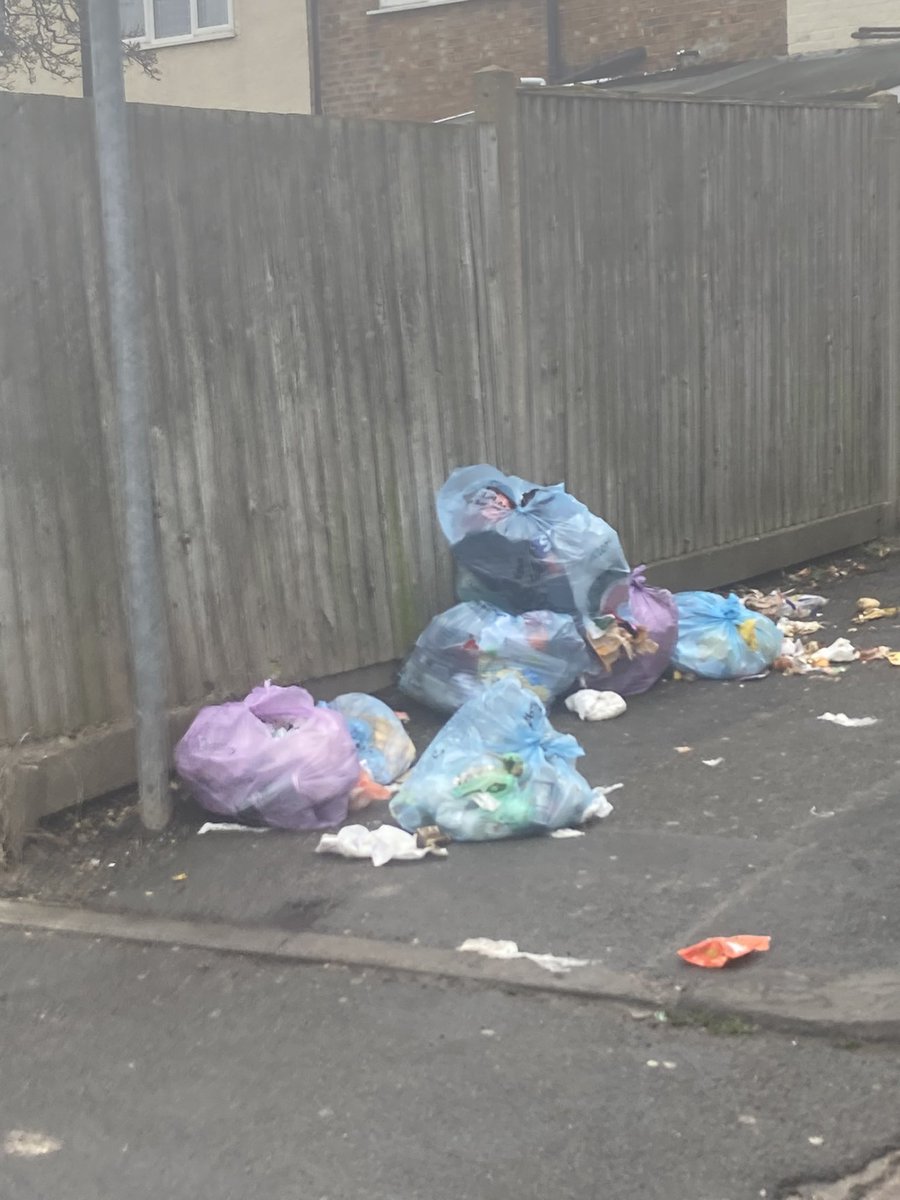 ClaireFry43's tweet photo. Rubbish in south gardens again #muckymerton #rubbishontheschoolrun #disgusting https://t.co/JpFvtOsQT3