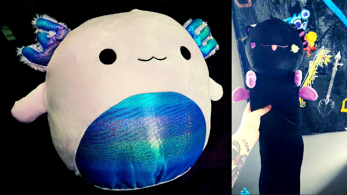 InterstellaMMD's tweet photo. #Axolotl #plushies https://t.co/UnYklVfMfd