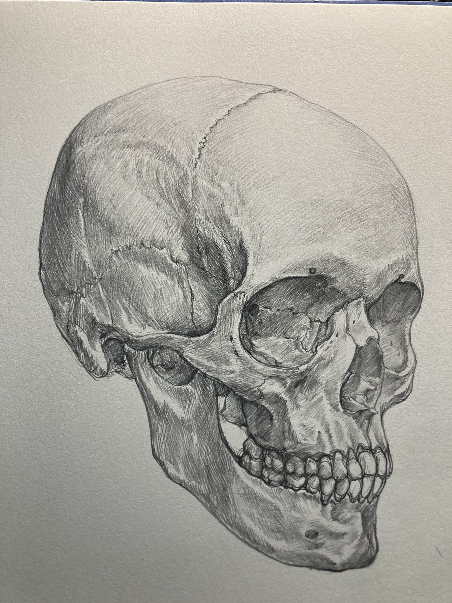 壁掛け　　タイトル「生と死の象徴を描いた頭蓋骨」 壁掛け タイトル「生と死の象徴を描いた頭蓋骨」 小田 隆 Oda