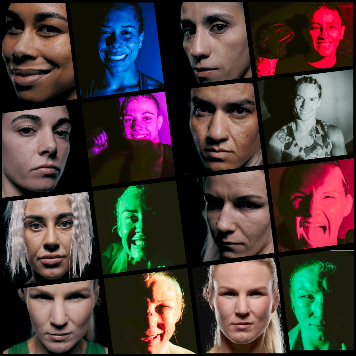 Shannon Knapp tweet media